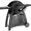 Weber Q 3000 Gassgrill