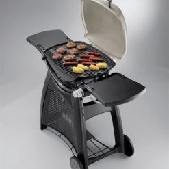 Weber Q 3000 Gassgrill -Espegard shop 636741 77924025488 5