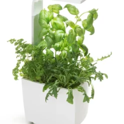 Tregren Kjøkkenhage/minidrivhus T3, Hvit