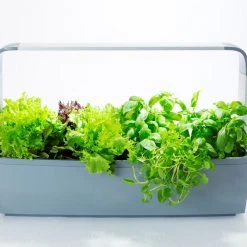 Tregren Kjøkkenhage/minidrivhus T12, Grå