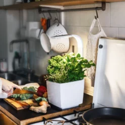 Tregren Kjøkkenhage/minidrivhus T3, Hvit -Espegard shop 645415 6430058280262 6