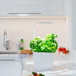 Tregren Kjøkkenhage/minidrivhus T3, Hvit -Espegard shop 645422 6430058280262 4