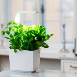 Tregren Kjøkkenhage/minidrivhus T3, Hvit -Espegard shop 645423 6430058280262 3