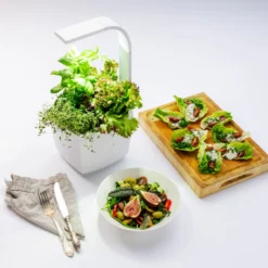 Tregren Kjøkkenhage/minidrivhus T3, Hvit -Espegard shop 645434 6430058280262 5